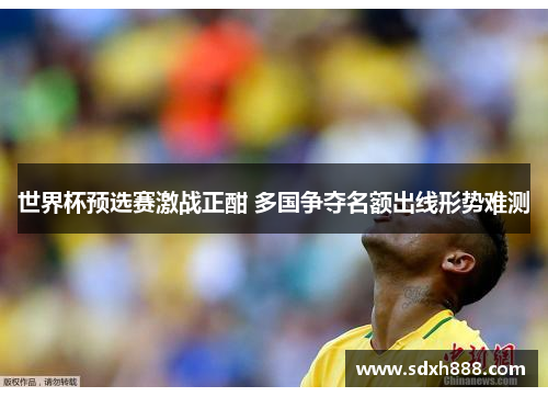 世界杯预选赛激战正酣 多国争夺名额出线形势难测