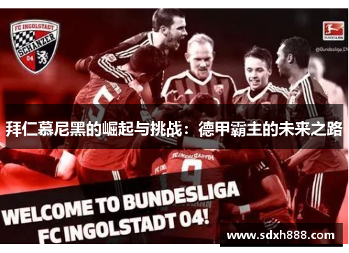 拜仁慕尼黑的崛起与挑战：德甲霸主的未来之路