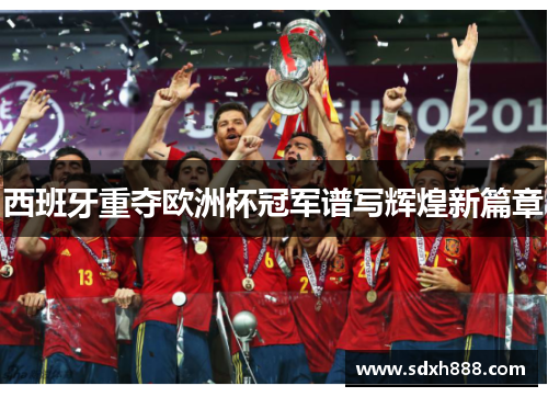 西班牙重夺欧洲杯冠军谱写辉煌新篇章