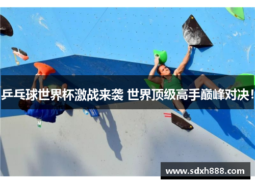 乒乓球世界杯激战来袭 世界顶级高手巅峰对决！