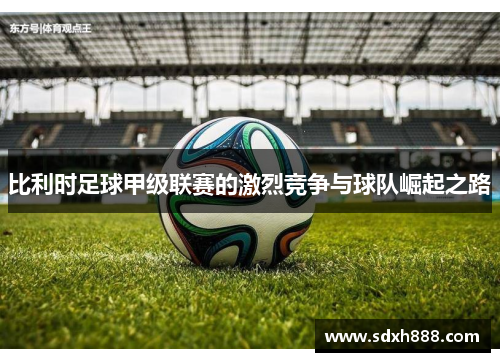 比利时足球甲级联赛的激烈竞争与球队崛起之路