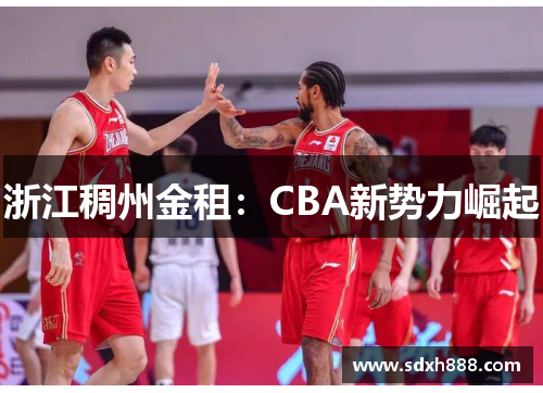 浙江稠州金租：CBA新势力崛起