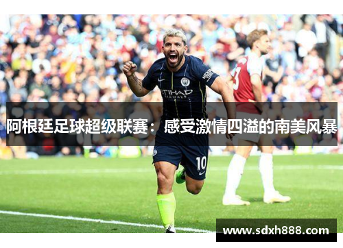 阿根廷足球超级联赛：感受激情四溢的南美风暴