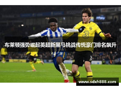 布莱顿强势崛起英超新黑马挑战传统豪门排名飙升